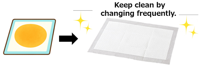 Keep clean by changing frequently.